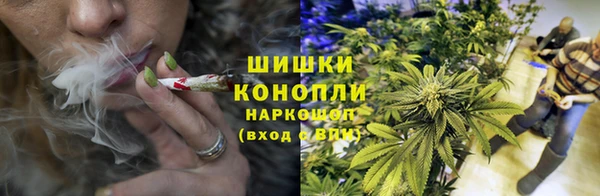 дурь Верея